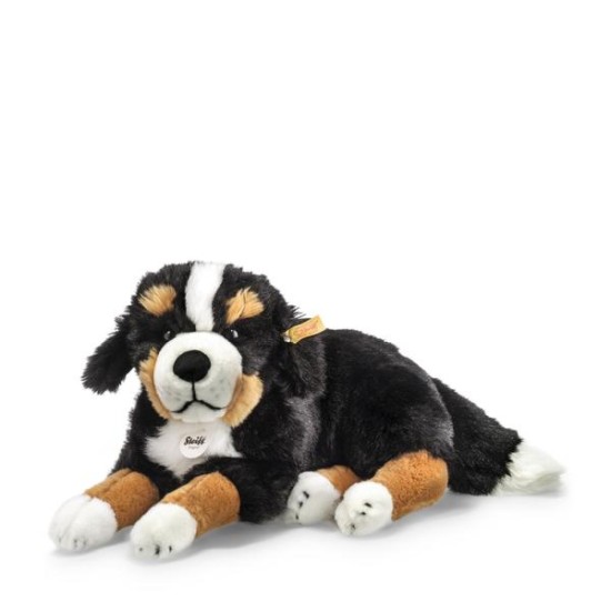 Steiff   Senni Bernese mountain dog, (079528)   size 45cm